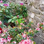 Casetta Nel Podere Di Massi *