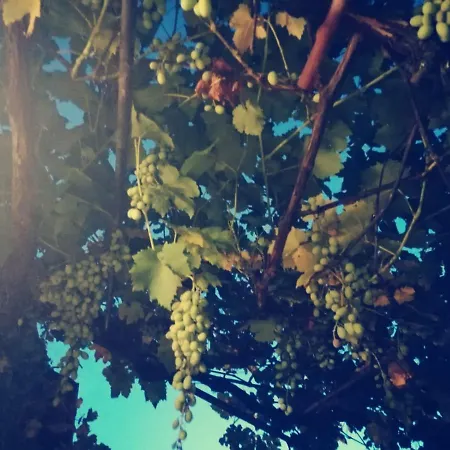 Appartement Casetta Nel Podere Di Massi