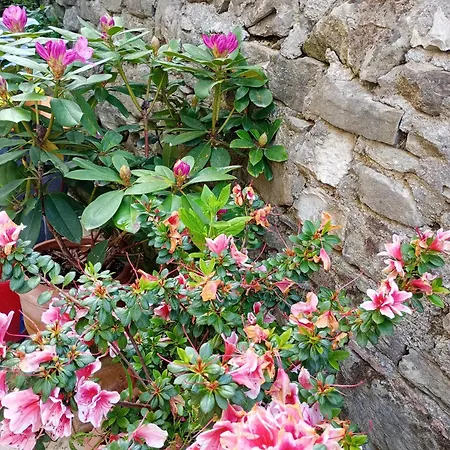 Casetta Nel Podere Di Massi *
