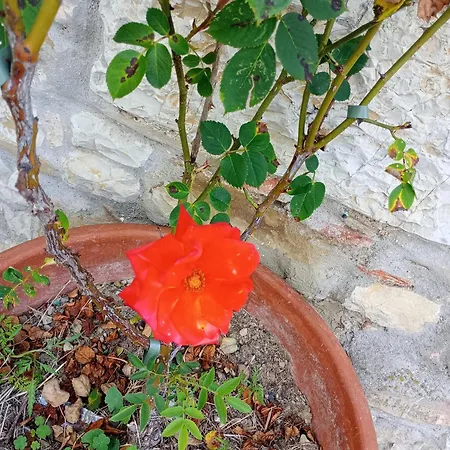 Casetta Nel Podere Di Massi Appartement