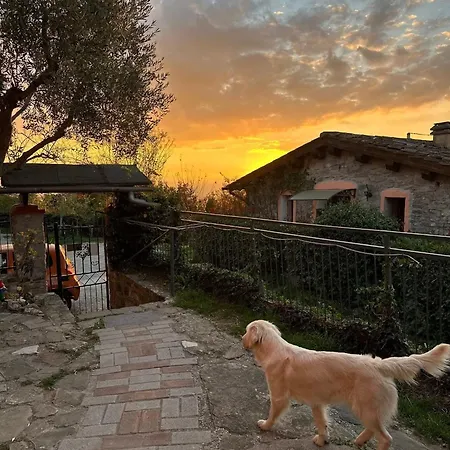 Casetta Nel Podere Di Massi Barberino di Mugello